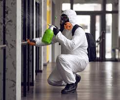 Best Industrial Mold Remediation in USA